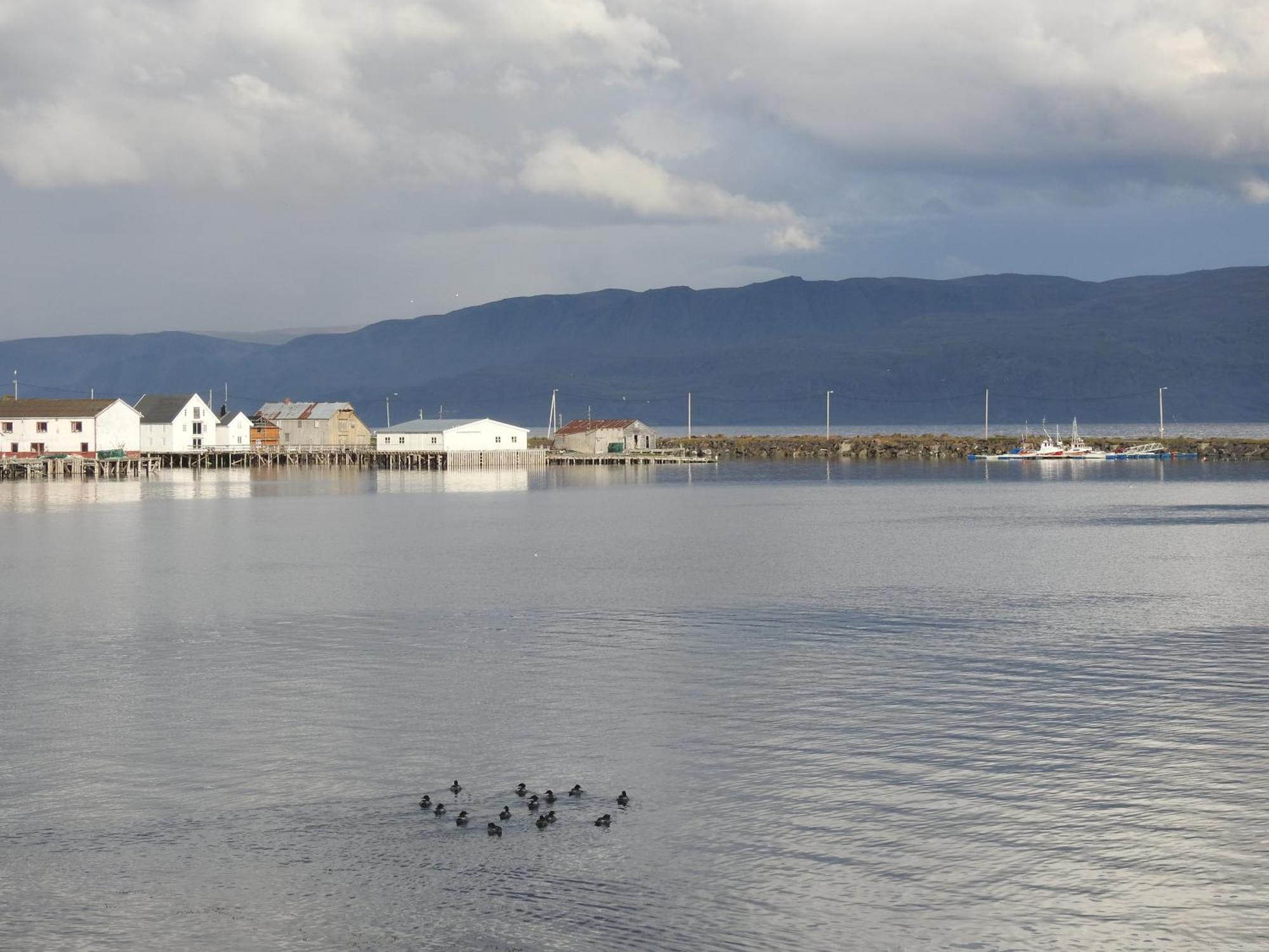 Kongsfjord Holiday Home Екстериор снимка